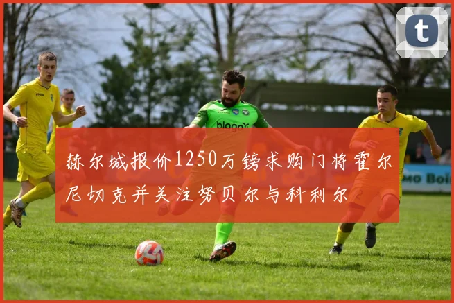 赫尔城报价1250万镑求购门将霍尔尼切克并关注努贝尔与科利尔